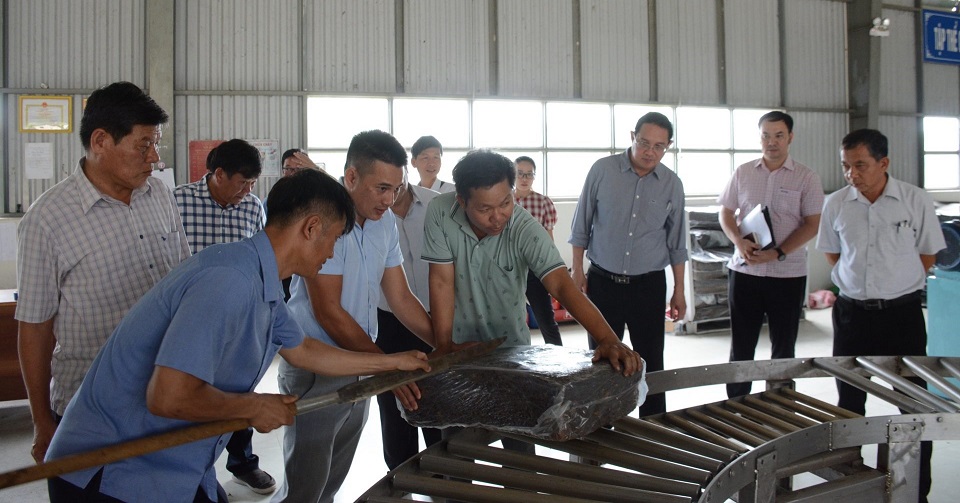 Mở rộng sản xuất sản phẩm cao su hỗn hợp trong năm 2024